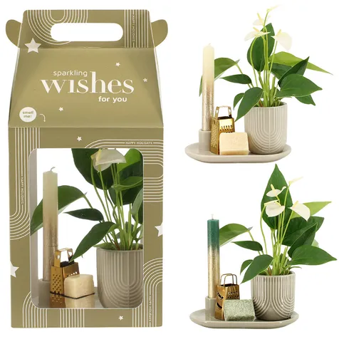 Aromatic Christmas Giftset large - Elegant anthurium